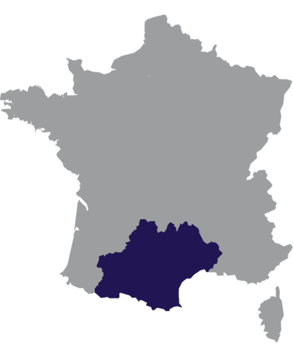Landkaart Frankrijk grijs met regio Occitanie donkerblauw op transparante achtergrond - 600 * 733 pixels